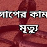 প্রাথমিক বিদ্যালয়ের শিক্ষকদের বদলি এখন সময়ের দাবি