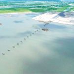 সাংবাদিকদের সহায়তা করতে নতুন এআই টুল তৈরি করছে গুগল