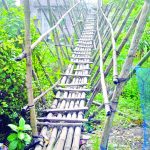 ক্রিপ্টোকারেন্সি বিনিয়োগের নামে প্রতারণা  :দুনিয়া-আখিরাতের অফার হিলটনের, অন্যদের হিরো