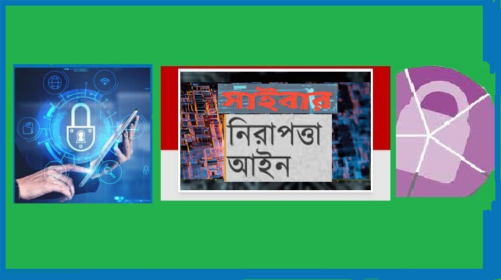 cyber law