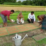 লাউ চাষে ব্রাহ্মণবাড়িয়ার যুবক মামুনের সাফল্য