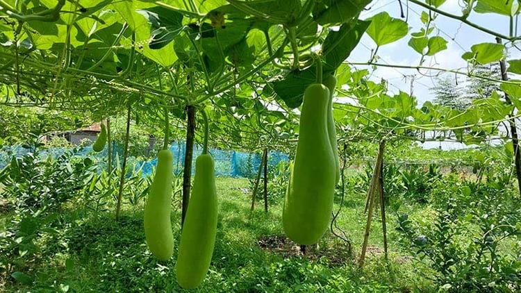 image 103733 1692865124