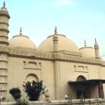 গোপালগঞ্জে বিদেশী ফল সাম্মাম চাষ করে বাজিমাত করেছেন মোঃ আয়ুব আলী শেখ