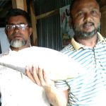 বরিশাল বিশ্ববিদ্যালয়ে সেশনজট নিরসনে ৩ সিদ্ধান্ত