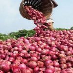 পেশা ছাড়ছেন আফগান সাংবাদিকরা