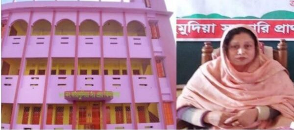 মাহমুদা