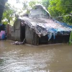 ঝালকাঠির রাজাপুরে মমতাজ ডায়াগনষ্টিক সেন্টারে ভুল রিপোর্ট  জ্বরের রোগীকে দিলো ডেঙ্গু পজেটিভ