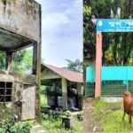 ভিসানীতির দায় সরকারের নয় : ওবায়দুল কাদের