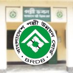পরিণীতির বিয়েতে প্রিয়াঙ্কার সঙ্গে থাকছেন না নিক জোনাস