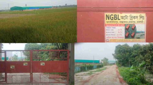 রাজশাহীর পবায় গ্রীণ অটো ব্রিকস লিমিটেডের বিষাক্ত ধোঁয়ায় ৩০০ বিঘা ফসলি জমি ক্ষতিগ্রস্ত 6 received 702542471243658 500x280 1