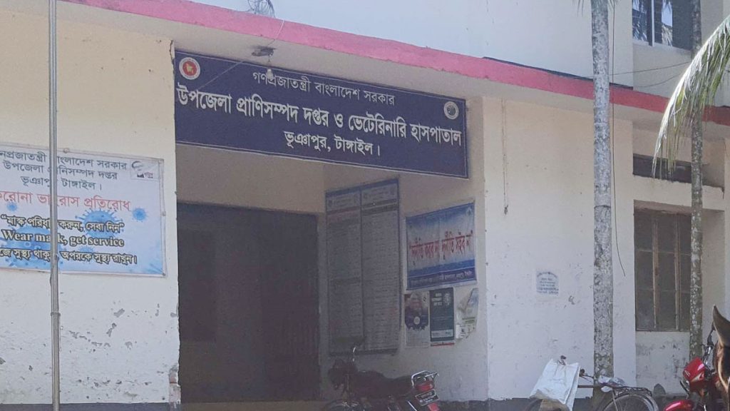 tangail1 20230905231745
