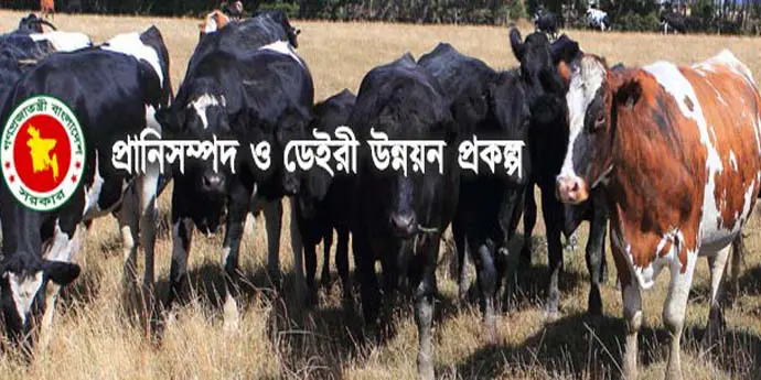 প্রাণিসম্পদ ও ডেইরি উন্নয়ন.jpg