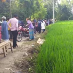 পবিপ্রবি ছাত্রলীগ সভাপতির চাঁদা আদায়ের ভিডিও ফাঁস!