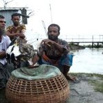 ব্রাহ্মণবাড়িয়ায় ঘূর্ণিঝড় টর্নেডো আঘাতে ক্ষতিগ্রস্ত বাড়িঘর