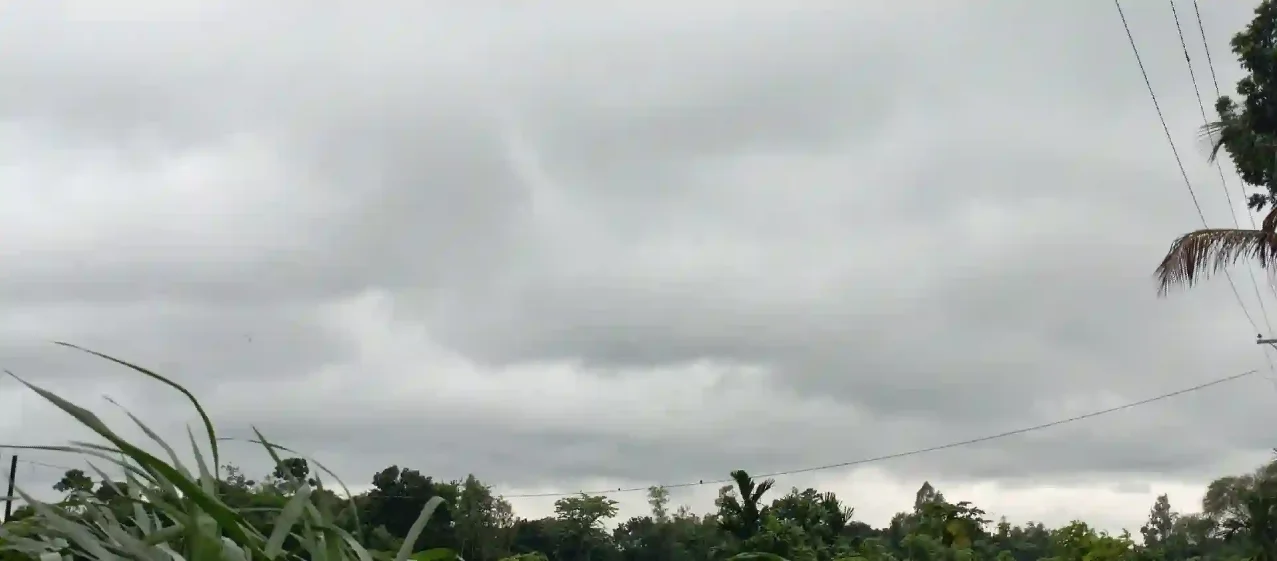 রাজশাহীতে মৌসুমের সর্বচ্চো বৃষ্টিপাত 6 IMG 20231005 165441