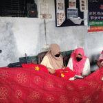 জমির দলিল জালিয়াতি ও ক্ষমতার অপব্যবহারের মামলায় সাবরেজিস্ট্রার পারভীন কারাগারে
