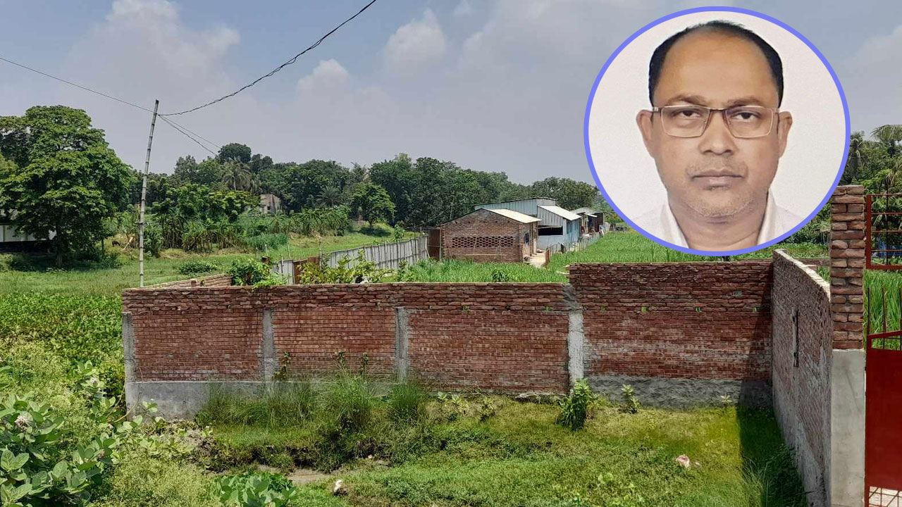 কুষ্টিয়ার ভেড়ামারায় হিসনা নদী দখল করে গরুর খামার 13 al leader 20231014190546