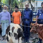 ডিজিটাল নিরাপত্তা আইনের মামলায় খালাস পেলেন  সেফাত উল্লাহ