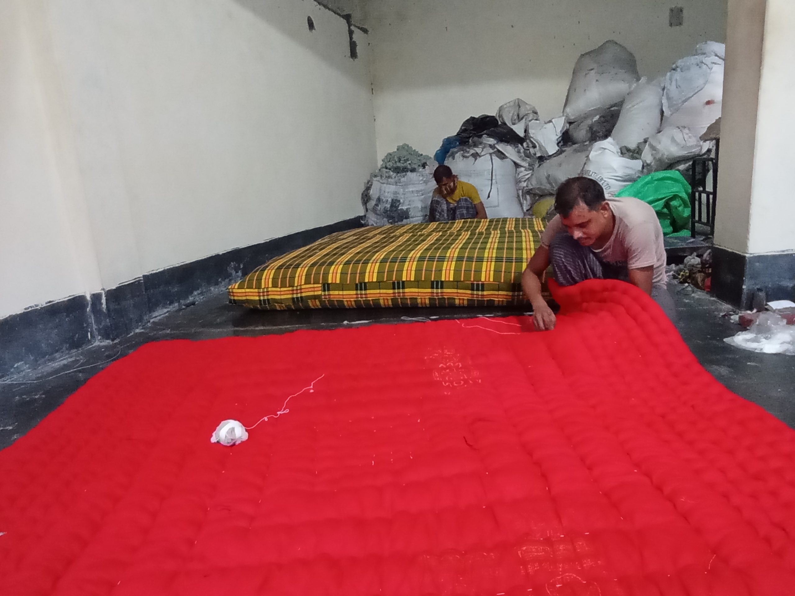 IMG 20231116 165718 scaled