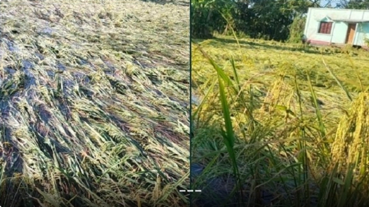 Screenshot 20231122 063553 1