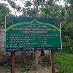 বিকিনিতে উত্তাপ ছড়ালেন অভিনেত্রী নন্দিনী
