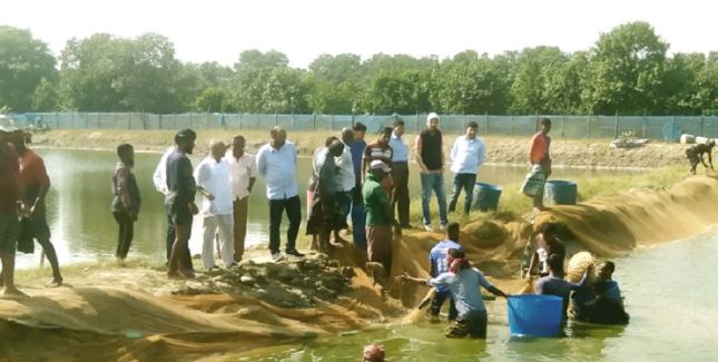 খুলনার ডুমুরিয়ায় বাগদা ও গলদা চিংড়ী চাষে চাষীদের ব্যাপক সাফল্য 13 fidh1