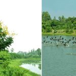 বাংলাদেশের জনগণের বিরুদ্ধে অবস্থান নিয়েছে ভারত: রিজভী