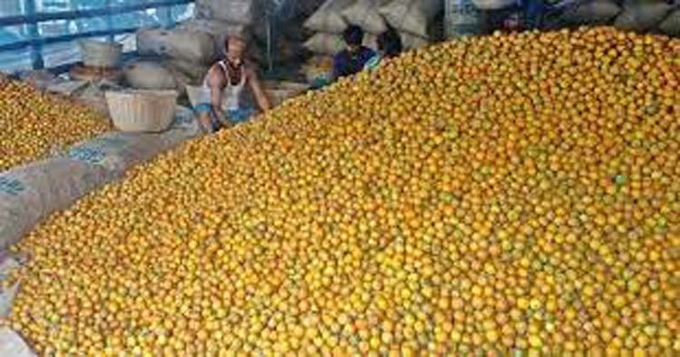 image 115848 1700980149