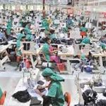 বাগেরহাটে সুপারির বাম্পার ফলন: বাজারে দামও কম