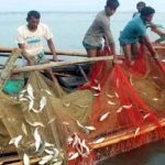 কুয়াকাটা বীচের পরিবেশ প্রতিবেশ রক্ষায় উদ্ভিদ ও ফলজ গাছের চারা রোপনের উদ্যেগ