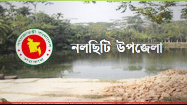 নলছিটিতে পিকআপ ভ্যান খাদে পড়ে ব্যবসায়ীর মৃত্যু 9 nal