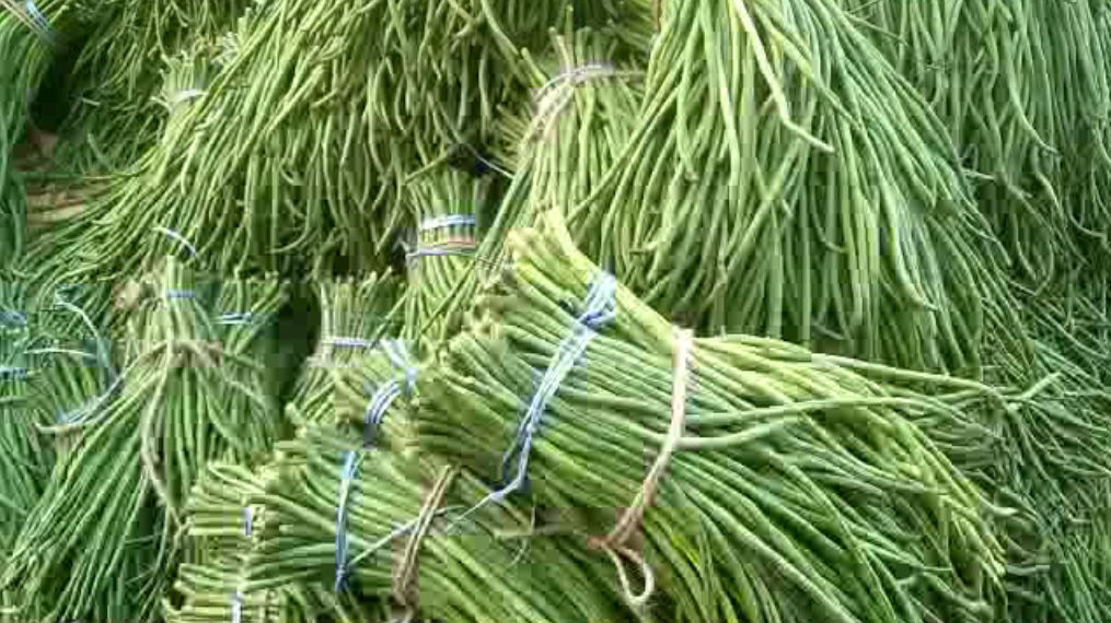 received 1287796498584991