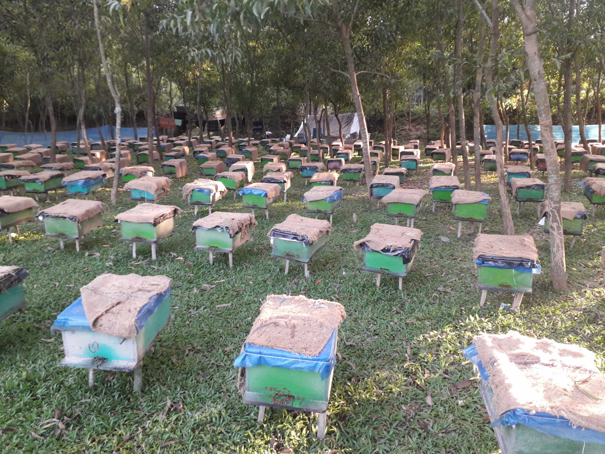 received 902582184781650