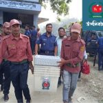 পেকুয়ায় টেফ মেধাবৃত্তি পরীক্ষা সম্পন্ন