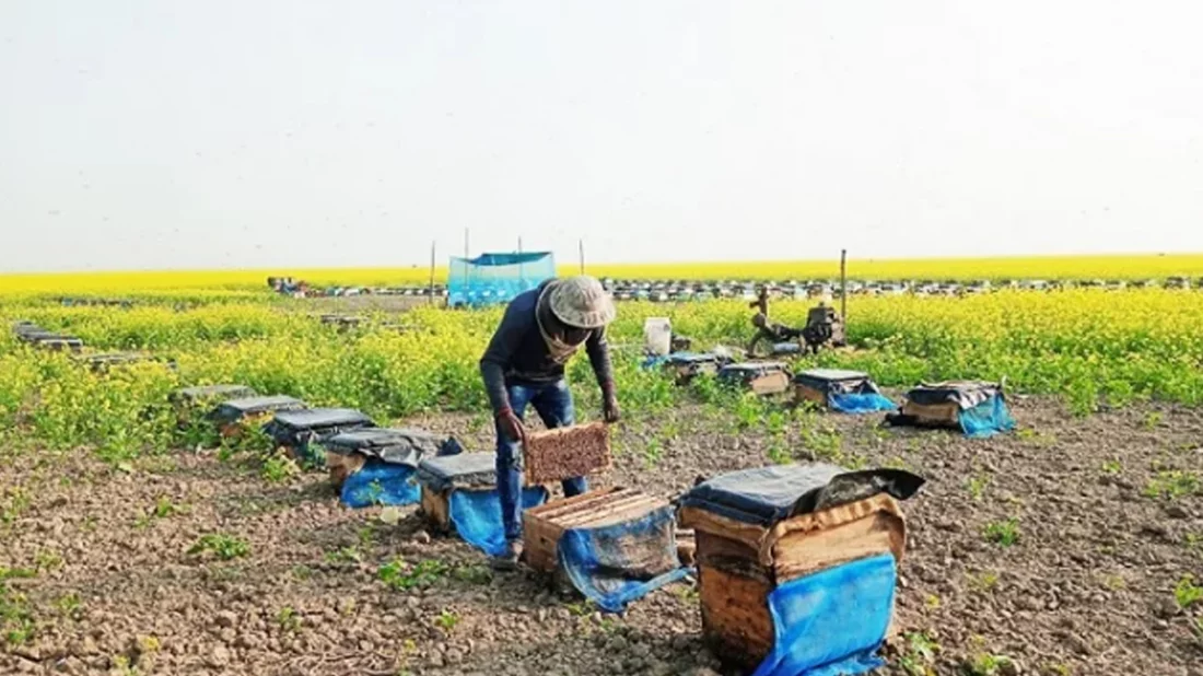 468cf5f896adc53fa3ff443ba60c3bf2 657cade884951