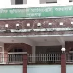 বিটিআরসির নতুন চেয়ারম্যান মহিউদ্দিন আহমেদ