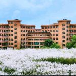 পাথরঘাটায় মানসিক ভারসাম্যহীনদের মাঝে শীত বস্ত্র বিতরন