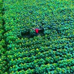 নির্বাক হলেন তাপসী পান্নু
