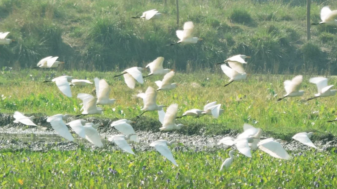 c4b3828feb9844b24290ed07d42d9279 658d9ba887419