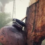 গাজার অর্ধেক মানুষ অনাহারে: ডব্লিউএফপি