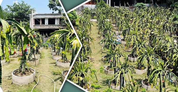 image 116432 1701419939