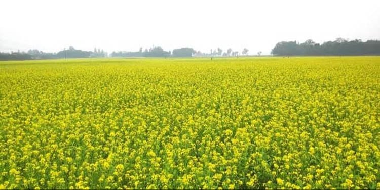 image 117201 1701923637