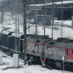 বরগুনায় জনপ্রিয় হয়ে উঠছে সৌখিন ও বাণিজ্যিক ড্রাগন ফল চাষ