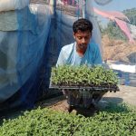 গণতন্ত্রী পার্টির ১০ প্রার্থীর নির্বাচনে অংশ নিতে বাধা নেই