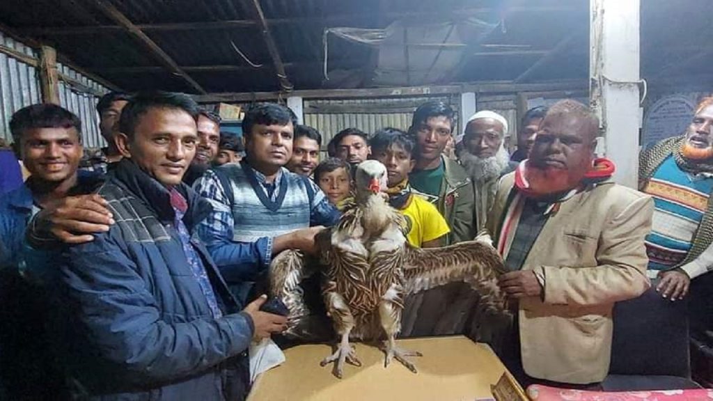 image 52229 1703769876