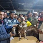 বরিশালে আ.লীগের জনসভা শুরু