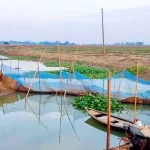 বরিশাল বিশ্ববিদ্যালয়ের নতুন প্রক্টর ড. আব্দুল কাইয়ুম