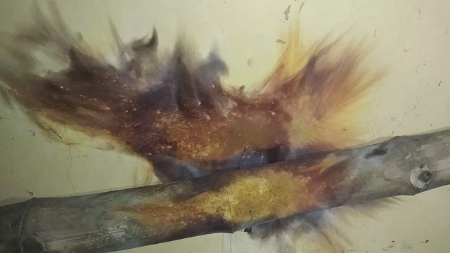 prothomalo bangla 2023 12 c62644fc d970 480e bbaa d74a36151556 Chapainawabgonj DH0603 20231202 WhatsApp Image 2023 12 02 at 9 43 21 PM