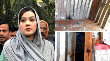 resize 350x300x1x0image 257514 1704021805bdjournal