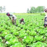 গাজায় স্কুলে হামলায় নিহত অন্তত ৫০